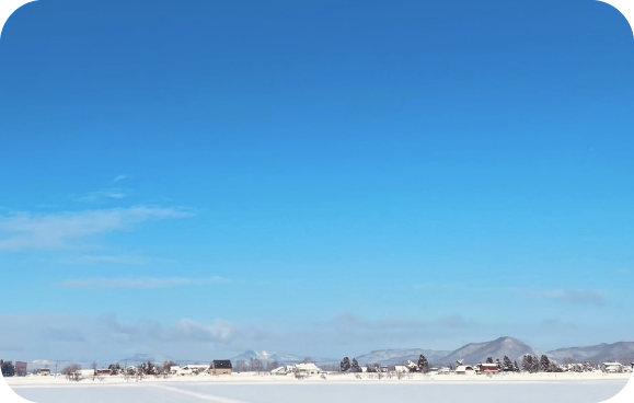 雪原